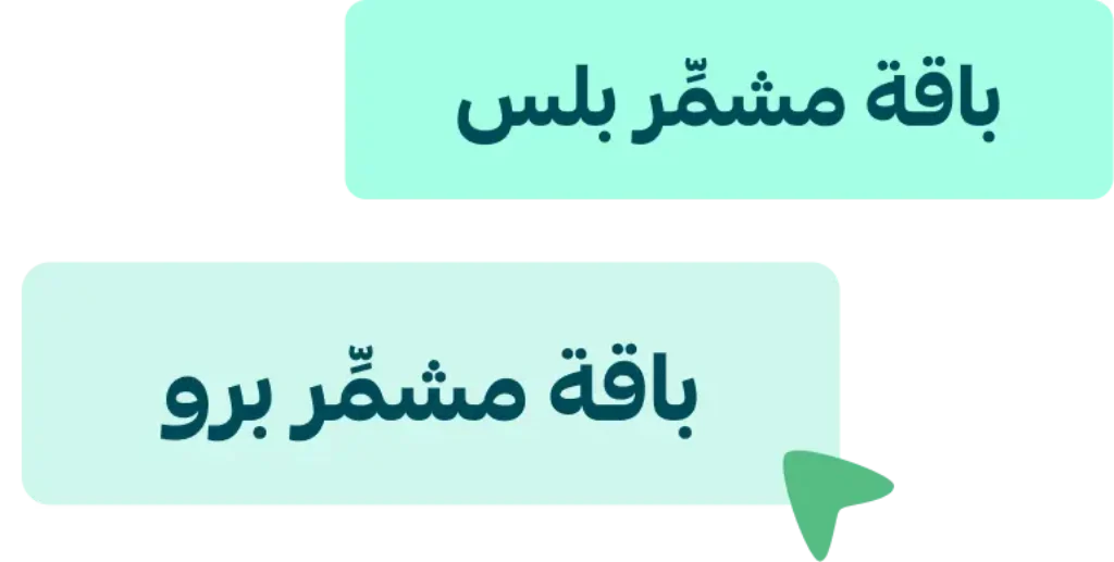 باقات المشمر